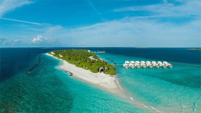 Dhigali Maldives – курорт преміум-класу «все включено».