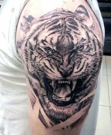 Tetovanie mláďaťa tigra